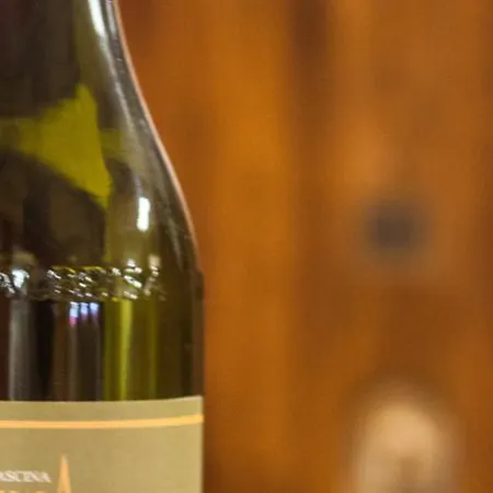 Cascina Arcangelo Raffaele Tatil Evi Verduno