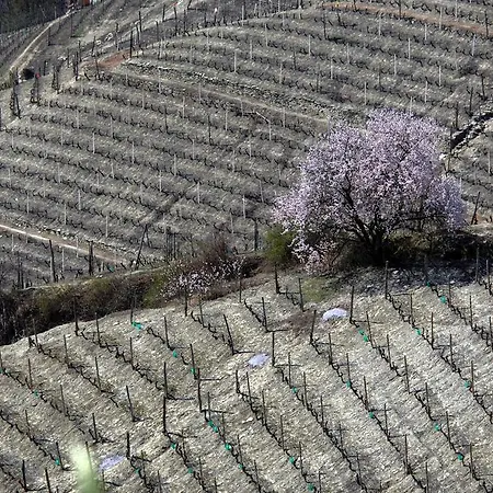 Cascina Arcangelo Raffaele * Verduno