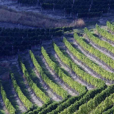 Cascina Arcangelo Raffaele בית נופש