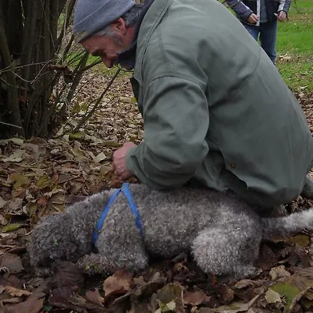 Cascina Arcangelo Raffaele בית נופש Verduno