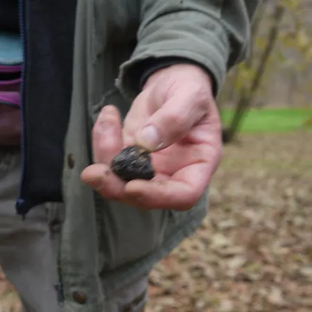 Cascina Arcangelo Raffaele Tatil Evi *
