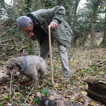 Cascina Arcangelo Raffaele בית נופש