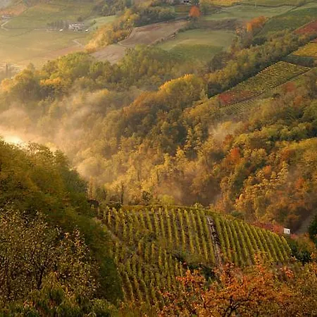 Cascina Arcangelo Raffaele Tatil Evi *