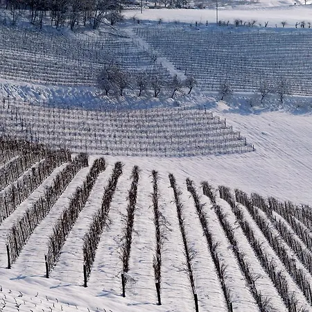 Cascina Arcangelo Raffaele בית נופש