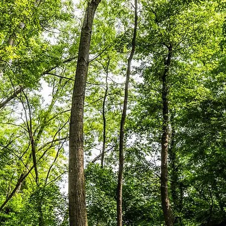 Cascina Arcangelo Raffaele בית נופש