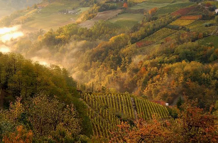 Cascina Arcangelo Raffaele Casa de Férias *