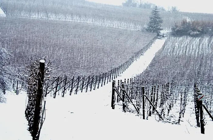 Cascina Arcangelo Raffaele *