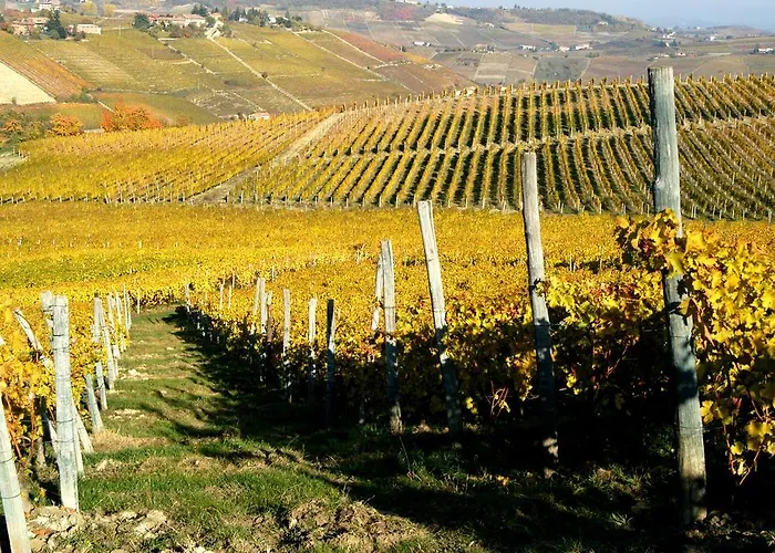 Cascina Arcangelo Raffaele *